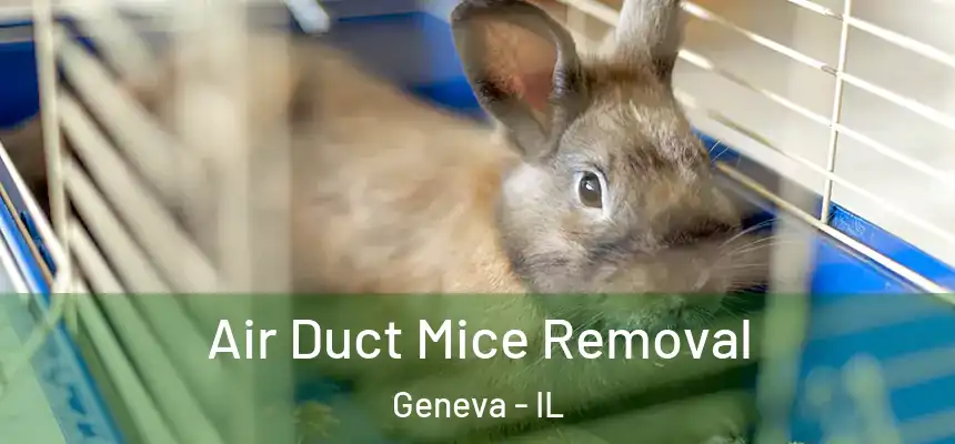  Air Duct Mice Removal Geneva - IL