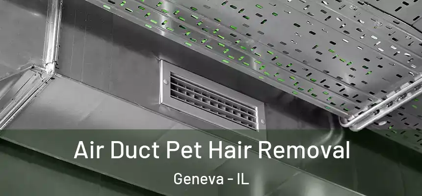 Air Duct Pet Hair Removal Geneva - IL