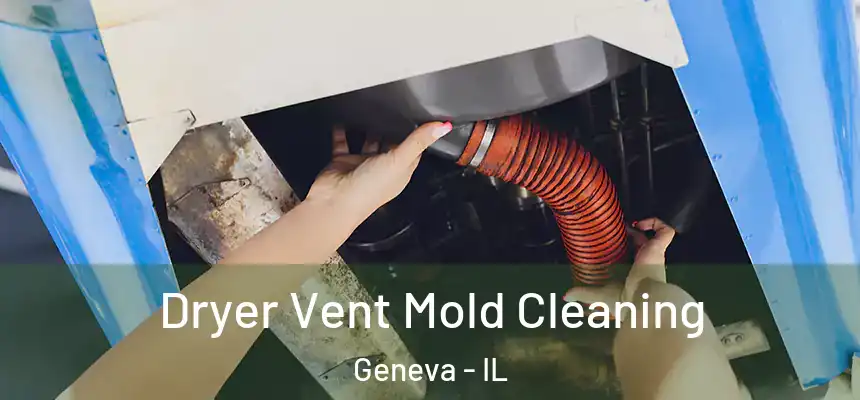  Dryer Vent Mold Cleaning Geneva - IL