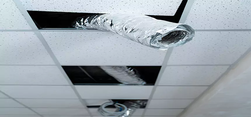 Affordable HVAC Sanitizing After Pest Removal in Geneva