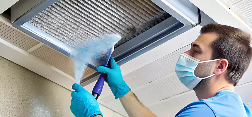 Proactive Dryer Vent & Auxiliary Duct Pollen Cleanup in Geneva, IL