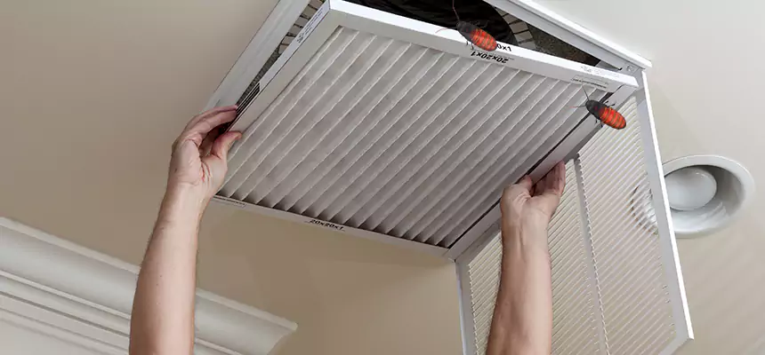 Our Insect Removal from Air Ducts Services in Geneva, IL