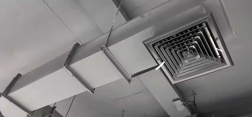 Our Pest Removal From Ducts Services in Geneva, IL