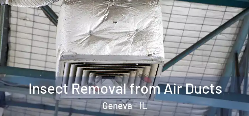  Insect Removal from Air Ducts Geneva - IL