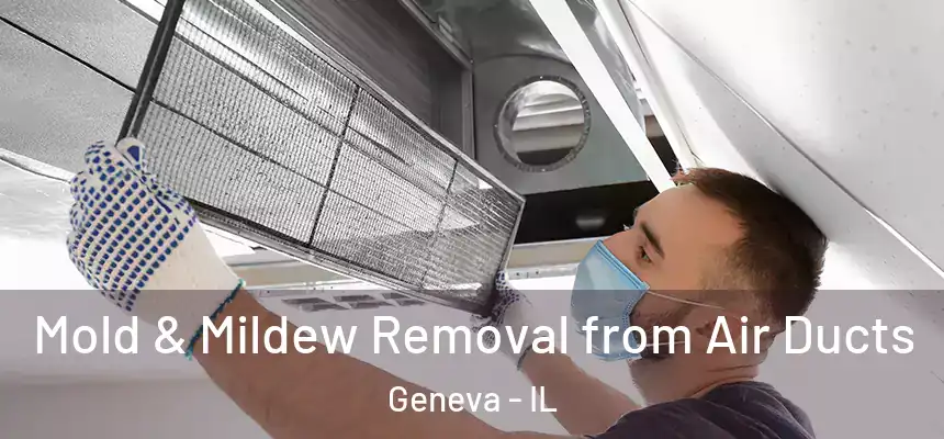  Mold & Mildew Removal from Air Ducts Geneva - IL