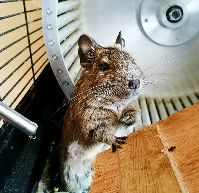 Why Homeowners & Businesses Trust Us Geneva, IL?