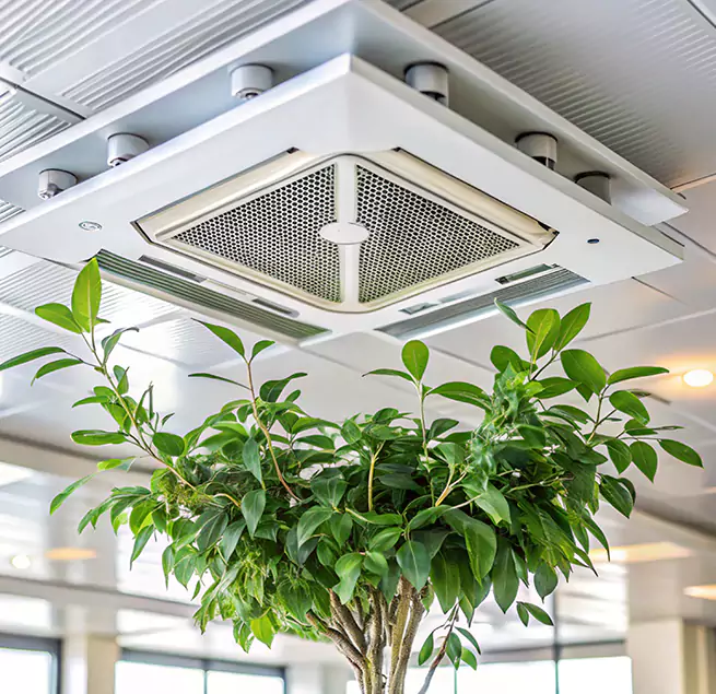 Why Homeowners & Businesses Trust Us in Geneva, IL?