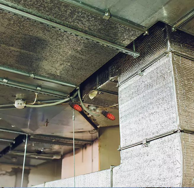 Why Homeowners & Businesses Trust Us Geneva, IL?