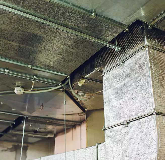 Why Homeowners & Businesses Trust Us in Geneva, IL?